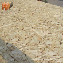 OSB Board for Roofing